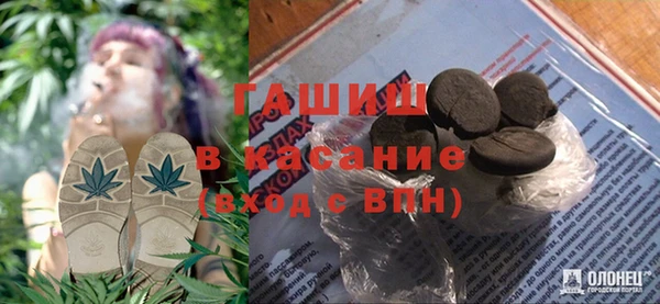 прущие грибы Бронницы