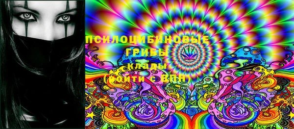 спиды Аркадак