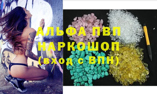 спиды Аркадак